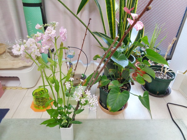 華道（生け花）の起源は古代からのアニミズムの流れとして、植物を立てて神を招く（依り代）という行為が考えられています。