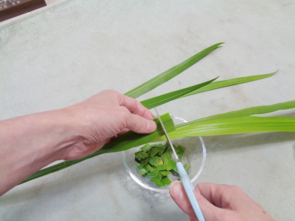 1.菖蒲の葉をハサミで細かく切ります。（菖蒲の葉をハサミで細かく切っている間、葉の爽やかな香りが楽しめます。）