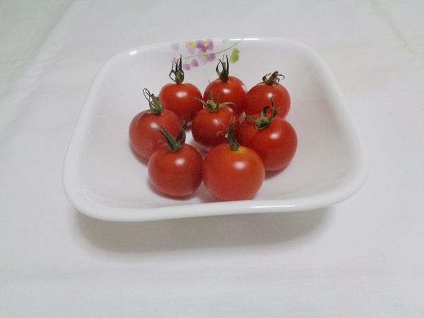 ミニトマト