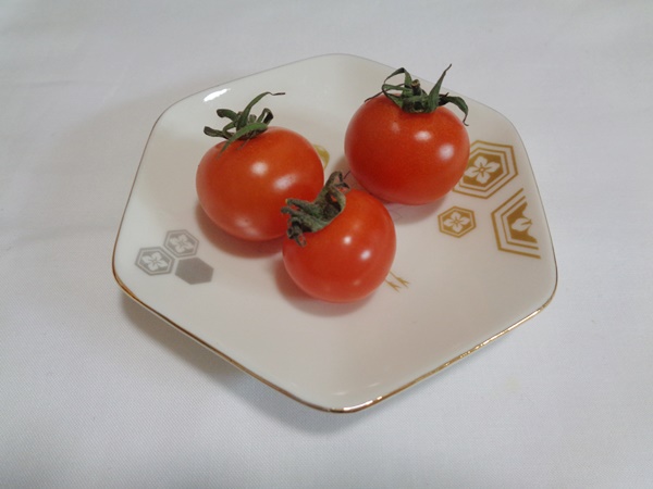 京都府産有機栽培ミニトマト