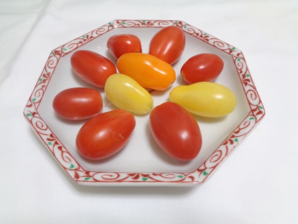 レッドプラム、オレンジプラム、イエロープラム